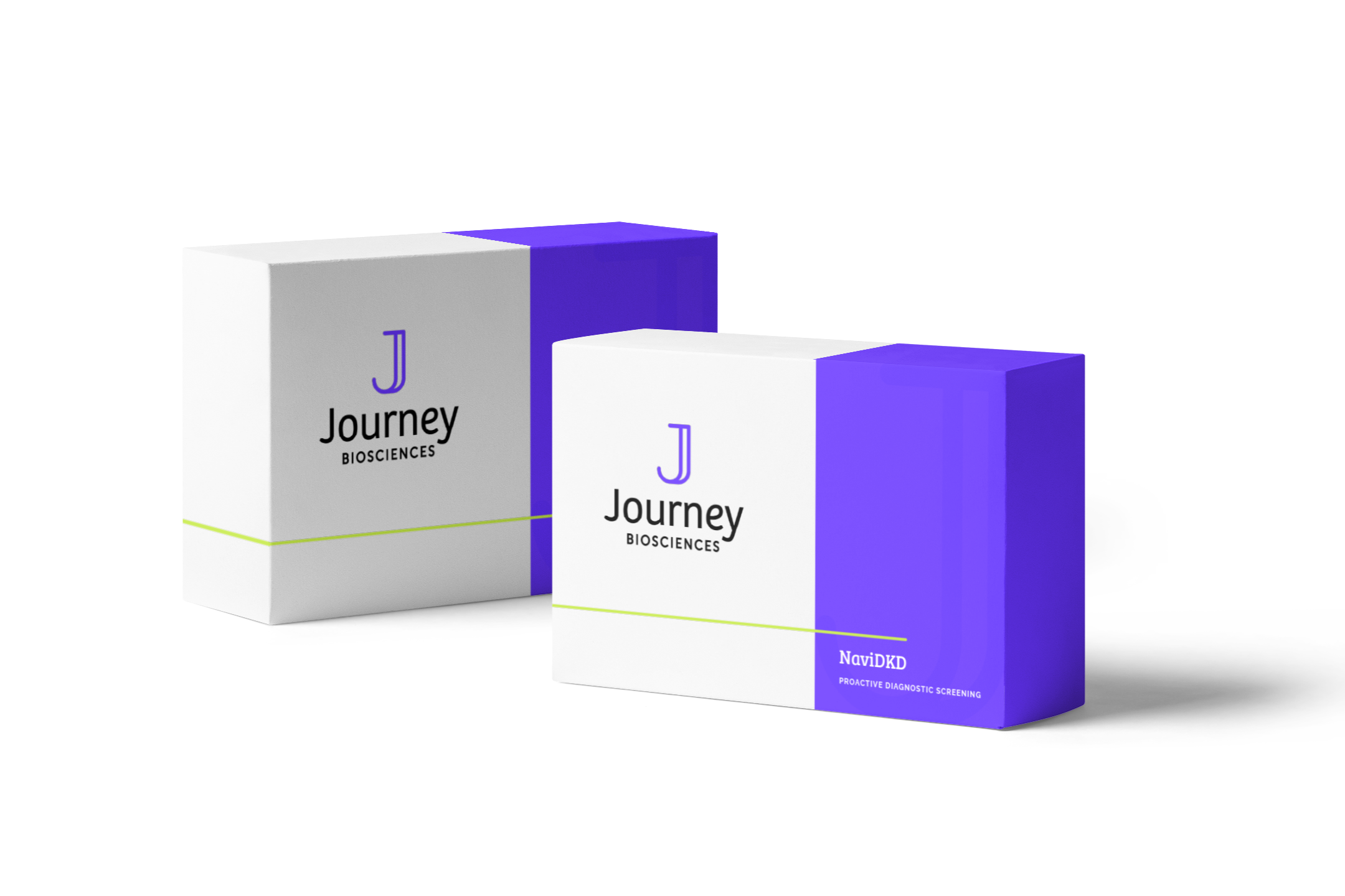 boxes-mockup-scene@2x (2).png
